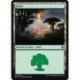(Foil) Terrain - Forêt (V3) (L) [DTK]