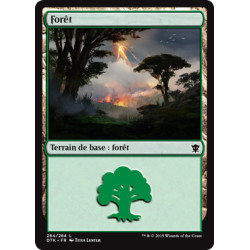 (Foil) Terrain - Forêt (V3) (L) [DTK]