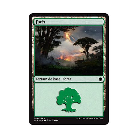 (Foil) Terrain - Forêt (V3) (L) [DTK]