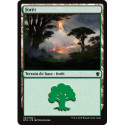 (Foil) Terrain - Forêt (V3) (L) [DTK]