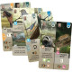 Forêt Mixte : Dartmoor (jeu indépendant)