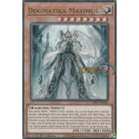 Dogmatika Maximus (UR) [CH01]