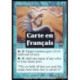 (Foil) Bleue - Disciple de la Céta (C) [AP]