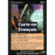 (Foil) Noire - Nécravolien (R) [AP]