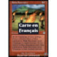 (Foil) Rouge - Sanctuaire rakaïste (U) [AP]