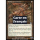 (Foil) Terrain - Landes de Llanowar (R) [AP]