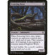 (Foil) Noire - Festering Newt (C) [IMA]