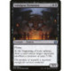 (Foil) Noire - Indulgent Tormentor (U) [IMA]
