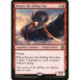 (Foil) Rouge - Ryusei, the Falling Star (R) [IMA]