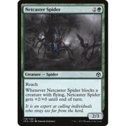 (Foil) Verte - Netcaster Spider (C) [IMA]