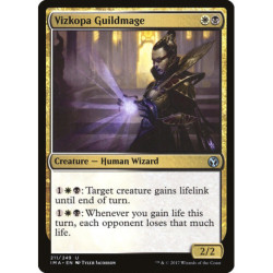 (Foil) Multicolore - Vizkopa Guildmage (U) [IMA]