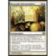 (Foil) Blanche - Horizons interminables (R) [EVE]
