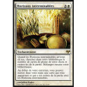 (Foil) Blanche - Horizons interminables (R) [EVE]