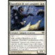 (Foil) Blanche - Épandeuse de sort sangamie (C) [EVE]