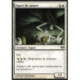 (Foil) Blanche - Esprit de suture (U) [EVE]