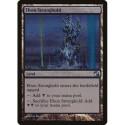 (Foil) Terrain - Ebon Stronghold (U) [PD3]