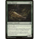 (Foil) Verte - Algae Gharial (U) [MM2]