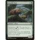 (Foil) Verte - Gnarlid Pack (C) [MM2]