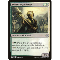(Foil) Multicolore - Selesnya Guildmage (U) [MM2]