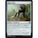 (Foil) Incolore - Flayer Husk (C) [MM2]