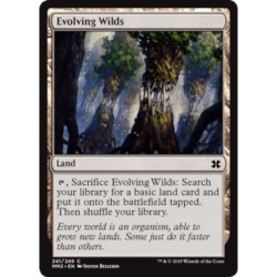 (Foil) Terrain - Evolving Wilds (C) [MM2]