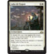 (Foil) Blanche - Aube de l'espoir (R) [GRN]