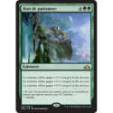 (Foil) Verte - Don de puissance (R) [GRN]