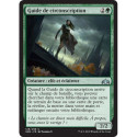 (Foil) Verte - Guide de circonscription (U) [GRN]