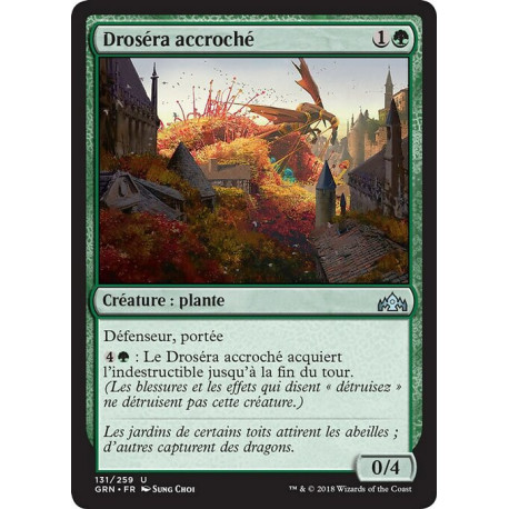 (Foil) Verte - Droséra accroché (U) [GRN]