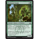 (Foil) Verte - Butineurs krauls (C) [GRN]