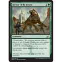 (Foil) Verte - Faveur de la meute (C) [GRN]