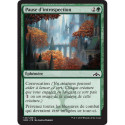 (Foil) Verte - Pause d'introspection (C) [GRN]
