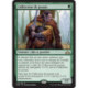 (Foil) Verte - Collecteur de peaux (R) [GRN]