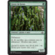 (Foil) Verte - Lierre de herse (C) [GRN]