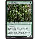 (Foil) Verte - Lierre de herse (C) [GRN]