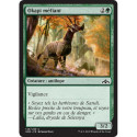 (Foil) Verte - Okapi méfiant (C) [GRN]