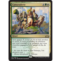 (Foil) Multicolore - Camaraderie (R) [GRN]