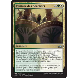 (Foil) Multicolore - Jointure des boucliers (U) [GRN]