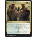 (Foil) Multicolore - Jointure des boucliers (U) [GRN]