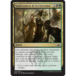 (Foil) Multicolore - Soulèvement de la Citerraine (C) [GRN]