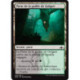 (Foil) Terrain - Porte de la guilde de Golgari (V1) (C) [GRN]