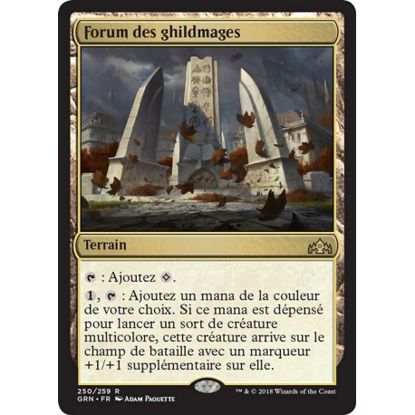 (Foil) Terrain - Forum des ghildmages (R) [GRN]