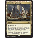 (Foil) Terrain - Forum des ghildmages (R) [GRN]
