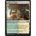(Foil) Terrain - Jardin du temple (R) [GRN]