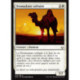 (Foil) Blanche - Dromadaire solitaire (C) [HOU]
