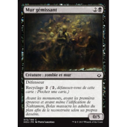 (Foil) Noire - Mur gémissant (C) [HOU]