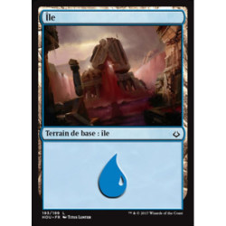 (Foil) Terrain - Île (V3) (L) [HOU]