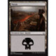 (Foil) Terrain - Marais (V2) (L) [HOU]