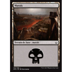 (Foil) Terrain - Marais (V2) (L) [HOU]