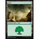 (Foil) Terrain - Forêt (V2) (L) [HOU]